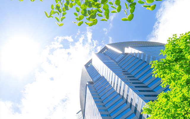 国际新，高光“绿” 北京大兴国际机场花式刷屏上热搜